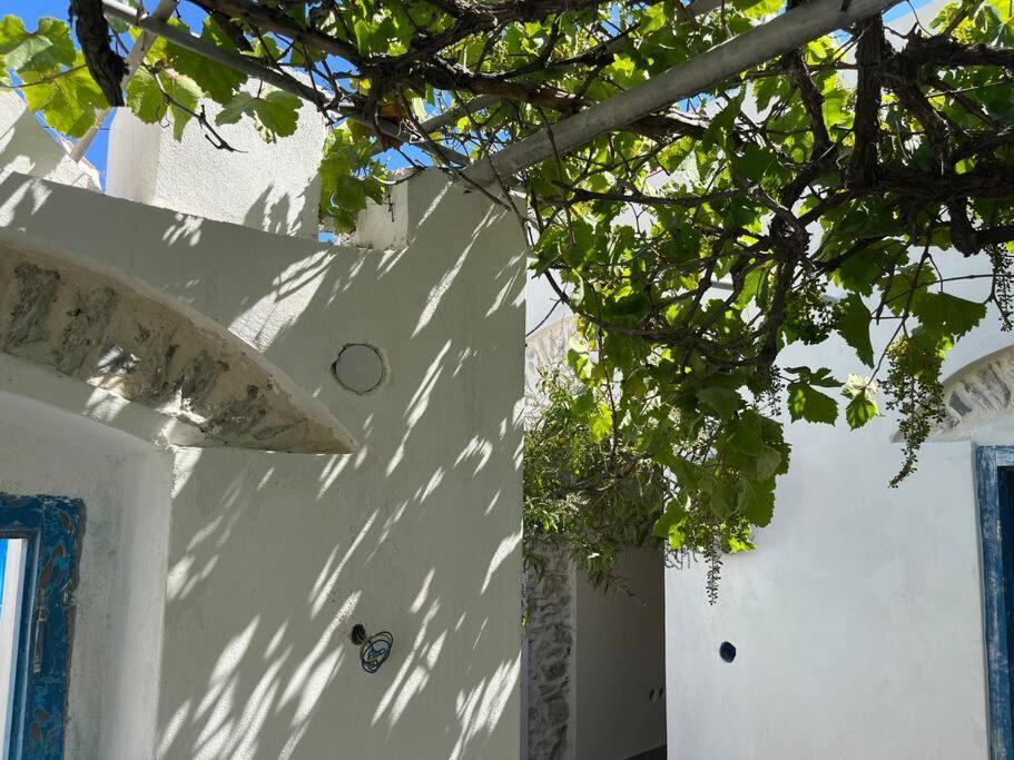 Dream House Little Villa - アモルゴス島 エクステリア 写真