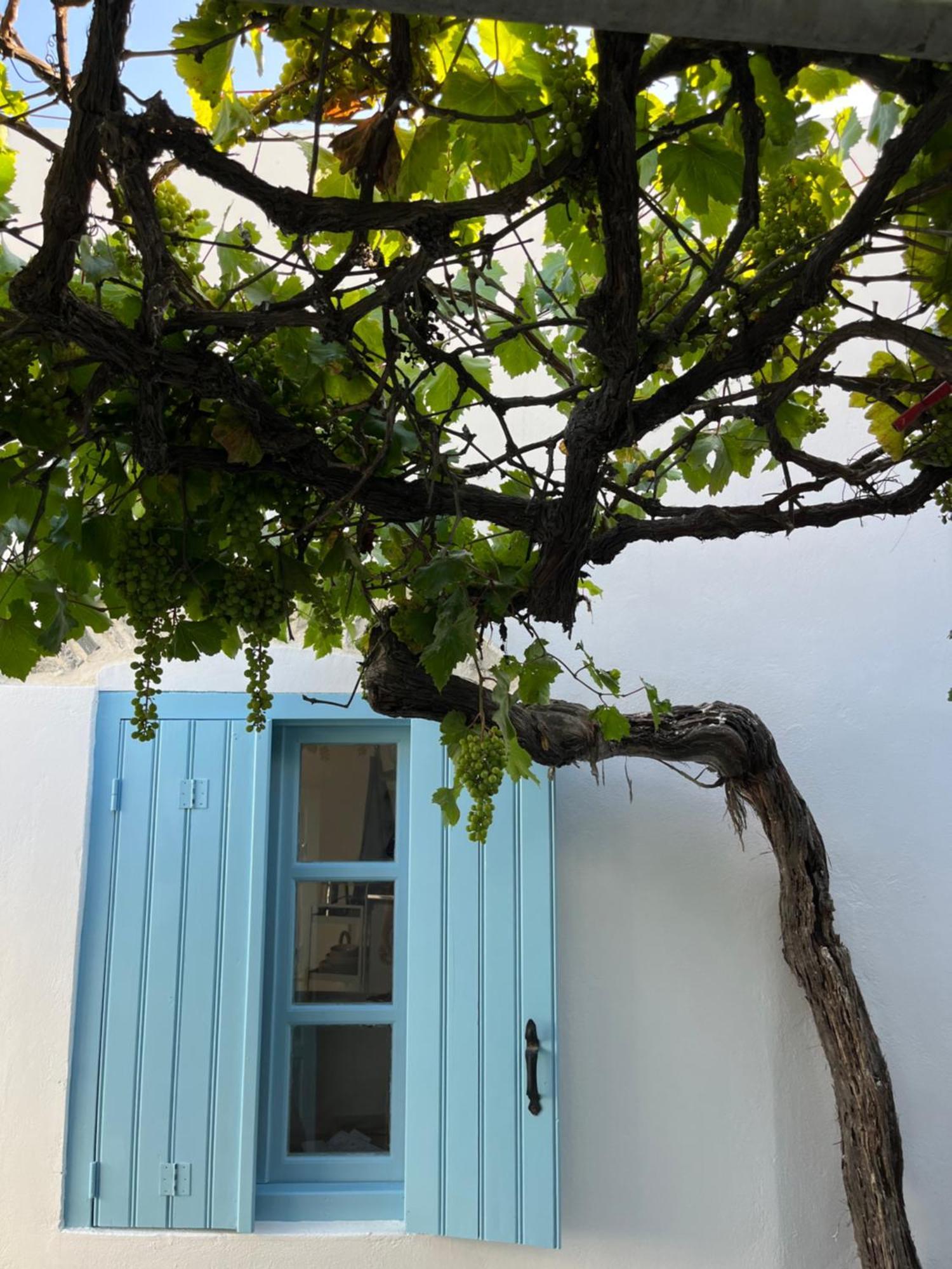 Dream House Little Villa - アモルゴス島 エクステリア 写真